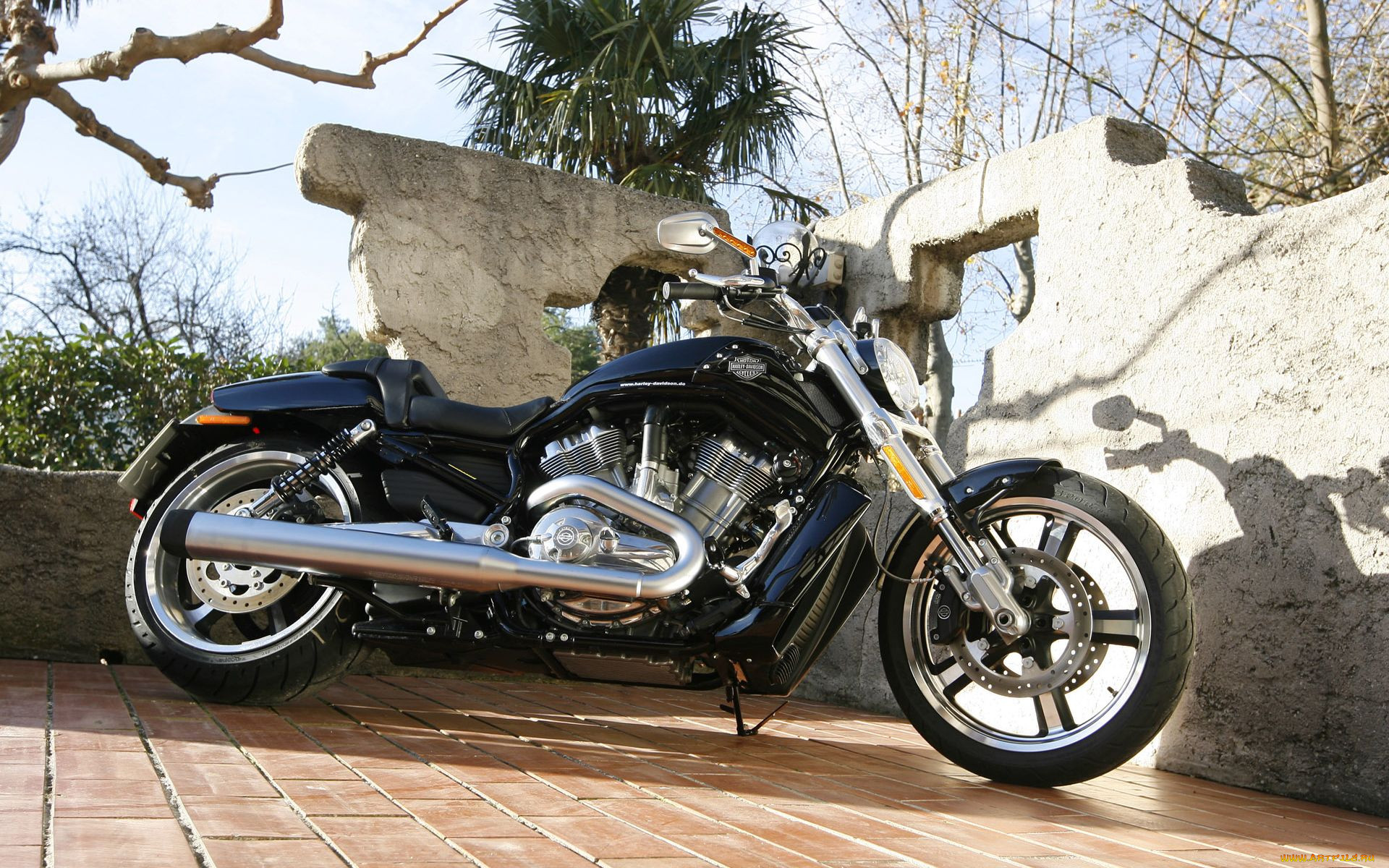 , harley, davidson, v, rod, muscle, vrsc